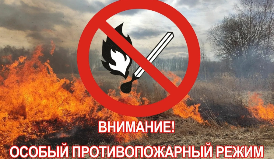 В Свердловской области введен строгий противопожарный режим